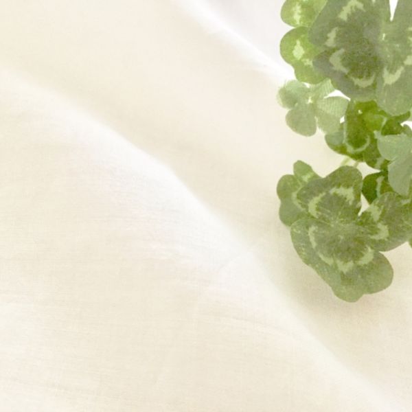 ひたちなか市の当院はピアスの穴あけを行っている皮膚科です