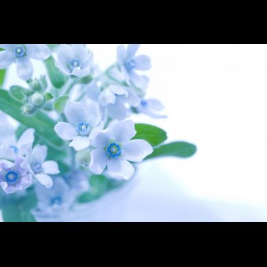 ひたちなか市の当院はピーリングを行っているクリニックです