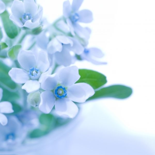 ひたちなか市の当院はピーリングを行っているクリニックです