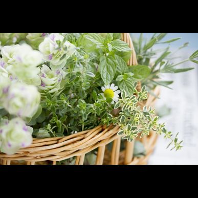 医療脱毛なら当院で！ソプラノアイスプラチナム