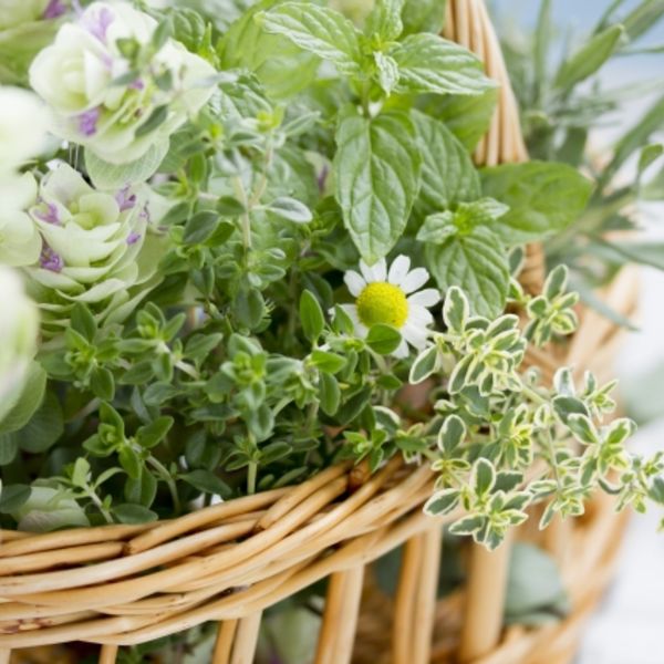 医療脱毛なら当院で！ソプラノアイスプラチナム